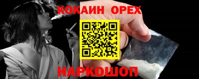МДПВ Камышлов
