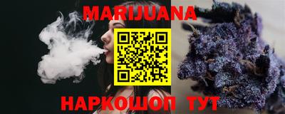 МДПВ Камышлов