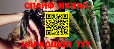 МДПВ Камышлов