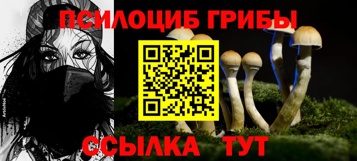 Галлюциногенные грибы мицелий Янаул